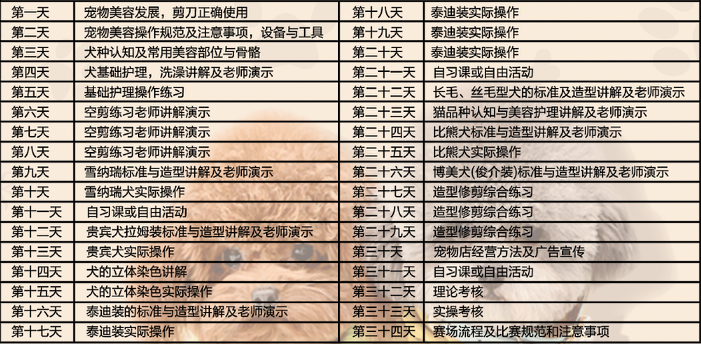 浙江台州宠物美容师培训学校 浙江台州宠物美容师培训学校